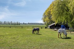 Bremstraat1474711RNStWillebrordNL-45.jpg