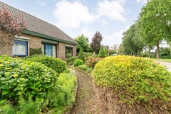 Foto-7.jpg