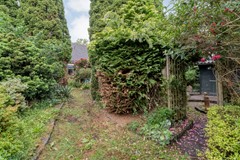 Foto-65.jpg