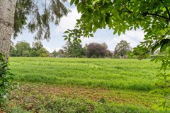 Foto-70.jpg