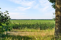 Foto-6.jpg