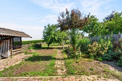 Foto-44.jpg