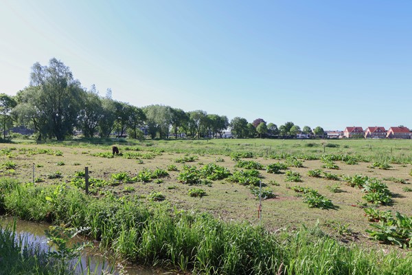 Medium property photo - Da Costastraat 34, 3751 GC Bunschoten-Spakenburg