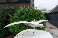 Wollefoppenweg 3, 3059 LG Rotterdam 