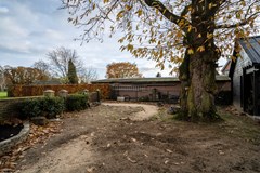 Diergaarderstraat West 16, Maria-Hoop(34).jpg