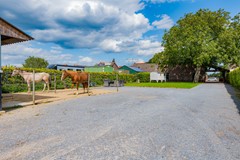 OBJ 2025 MWLR 0805 016.jpeg