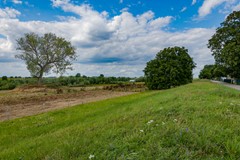 OBJ 2025 MWLR 0805 019.jpeg