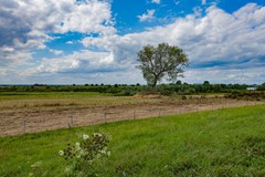 OBJ 2025 MWLR 0805 018.jpeg