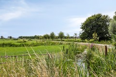 Overstag33751RHBunschotenSpakenburgNL-83.jpg
