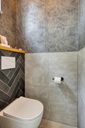 Zanglijster423752MJBunschotenSpakenburg-06.jpg