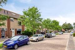 Zanglijster423752MJBunschotenSpakenburg-04.jpg