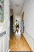 Zanglijster423752MJBunschotenSpakenburg-05.jpg