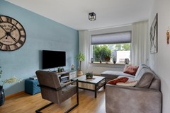 Zanglijster423752MJBunschotenSpakenburg-07.jpg