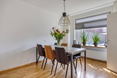Zanglijster423752MJBunschotenSpakenburg-10.jpg