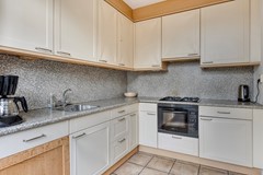 Zanglijster423752MJBunschotenSpakenburg-13.jpg