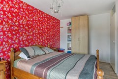 Zanglijster423752MJBunschotenSpakenburg-17.jpg