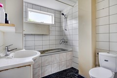 Zanglijster423752MJBunschotenSpakenburg-18.jpg
