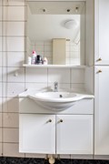 Zanglijster423752MJBunschotenSpakenburg-20.jpg
