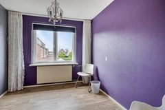 Zanglijster423752MJBunschotenSpakenburg-23.jpg