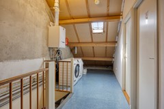 Zanglijster423752MJBunschotenSpakenburg-25.jpg