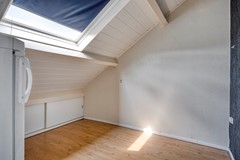Zanglijster423752MJBunschotenSpakenburg-26.jpg