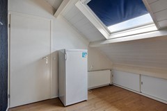 Zanglijster423752MJBunschotenSpakenburg-27.jpg