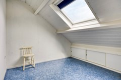 Zanglijster423752MJBunschotenSpakenburg-28.jpg
