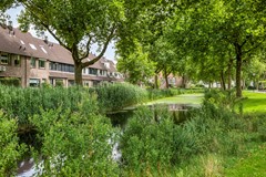 Zanglijster423752MJBunschotenSpakenburg-34.jpg