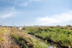 BunschoterVeenkamp343751JDBunschotenSpakenburgNL-30.jpg