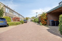 Waterhoen393752ZHBunschotenSpakenburg-01.jpg