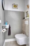 Waterhoen393752ZHBunschotenSpakenburg-05.jpg
