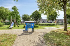 Waterhoen393752ZHBunschotenSpakenburg-36.jpg