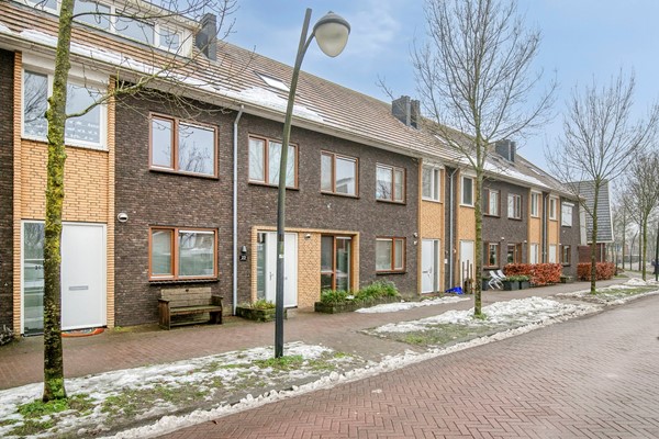 Lient233829EJHooglanderveenNL-02.jpg 5