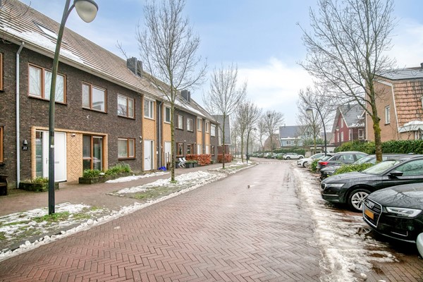 Lient233829EJHooglanderveenNL-03.jpg 6