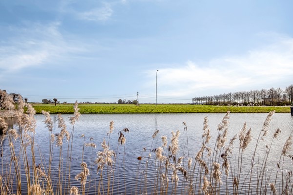 Bras13751ZVBunschotenSpakenburg-49.jpg 45