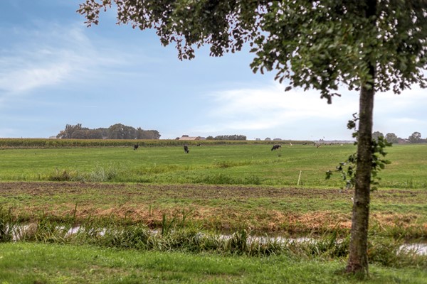 Koperwiek33752mpBunschotenSpakenburg-41.jpg 40