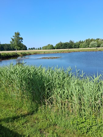 Medium property photo - Elfde Wijk 42, 7797 HH Rheezerveen