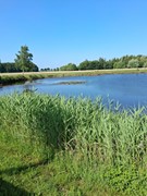 Elfde Wijk 42, 7797 HH Rheezerveen - 20250612_102245.jpg