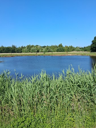 Medium property photo - Elfde Wijk 42, 7797 HH Rheezerveen
