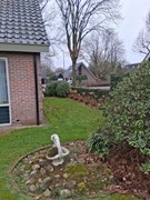 De Vennen 16, 7921 HT Zuidwolde - 20260128_115109.jpg