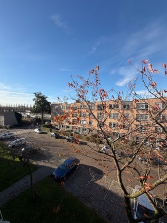 Foto - Te koop: Zoutmanstraat 20, 3317 XN Dordrecht