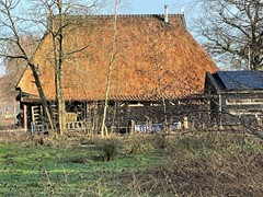 Lietsweg 6, 9364 TB Nuis - IMG-20260120-WA0004.jpg