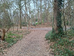 Meelkerlaan 16, 9331 XW Norg - 20260227_122712.jpg