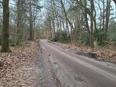 Meelkerlaan 16, 9331 XW Norg - 20260227_122751.jpg