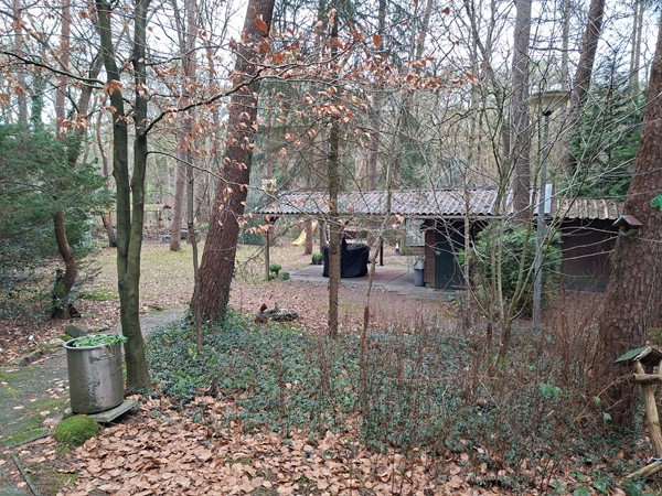 Foto - Te koop: Meelkerlaan 16, 9331 XW Norg