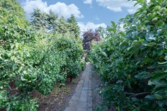 51 Sint Maartenstraat 10 Zegge.jpg