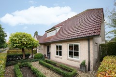 03 Leiboom 21 Oudenbosch.jpg