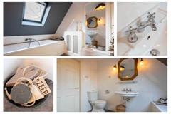 50 Leiboom 21 Oudenbosch.jpg