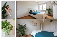 26 Bovenstraat-erf 41 Hoeven.jpg