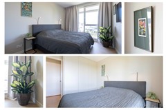 23 Houtwal 74 Hoeven.jpg